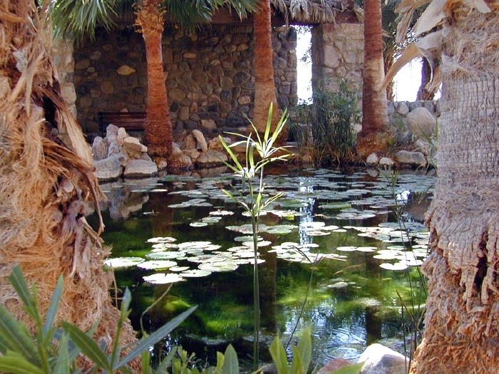 Oasis at Furnace Creek